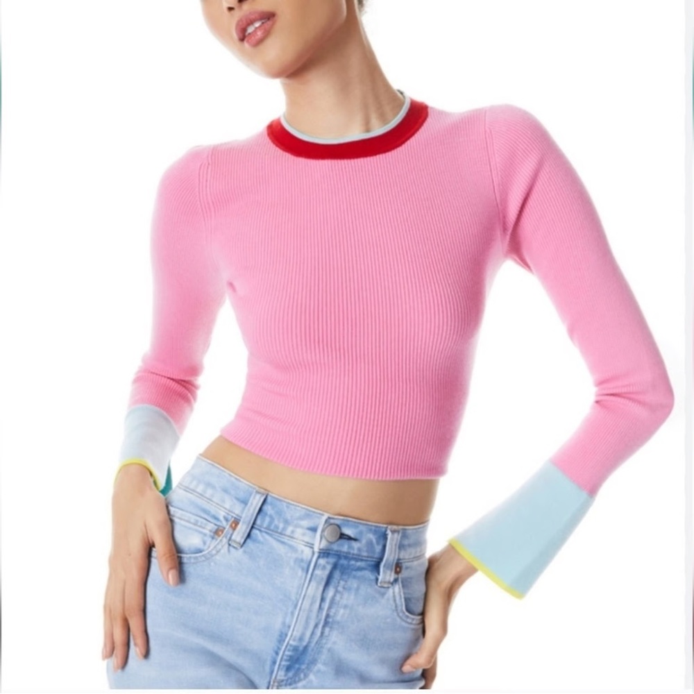 Alice + Olivia Westi Colorblock Wool Blend Sweater